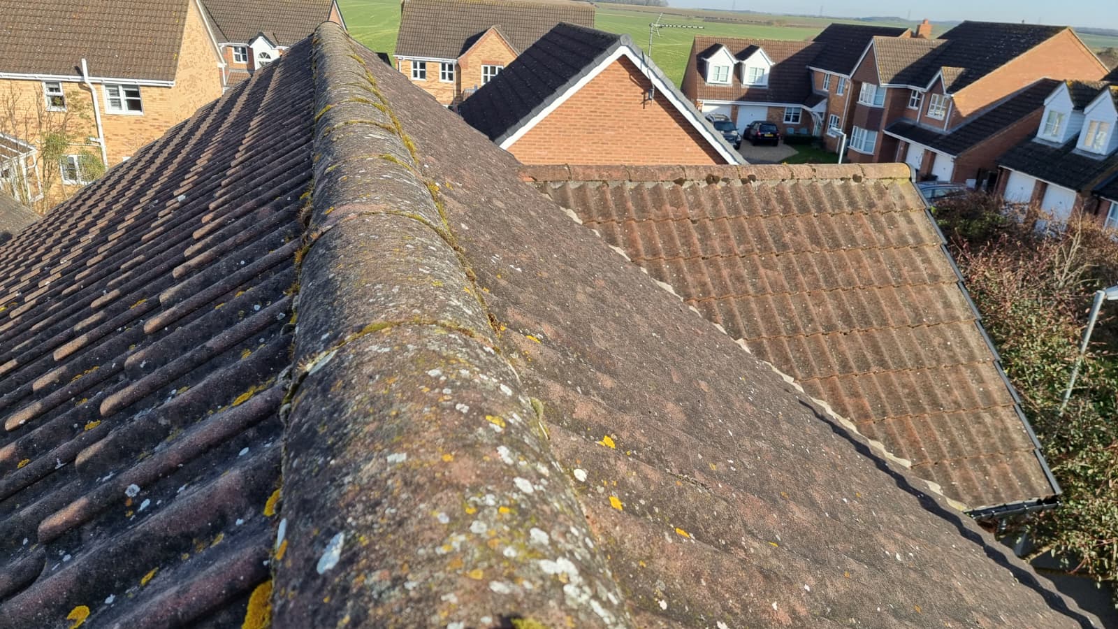 Chimney stack with new lead flashing and bird guards