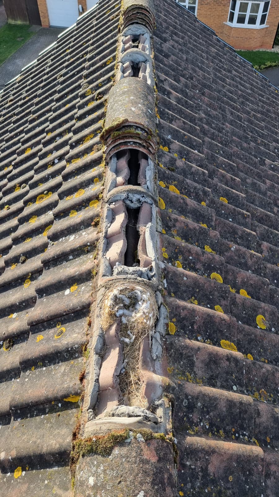 Damaged ridge tiles with crumbling mortar before repair