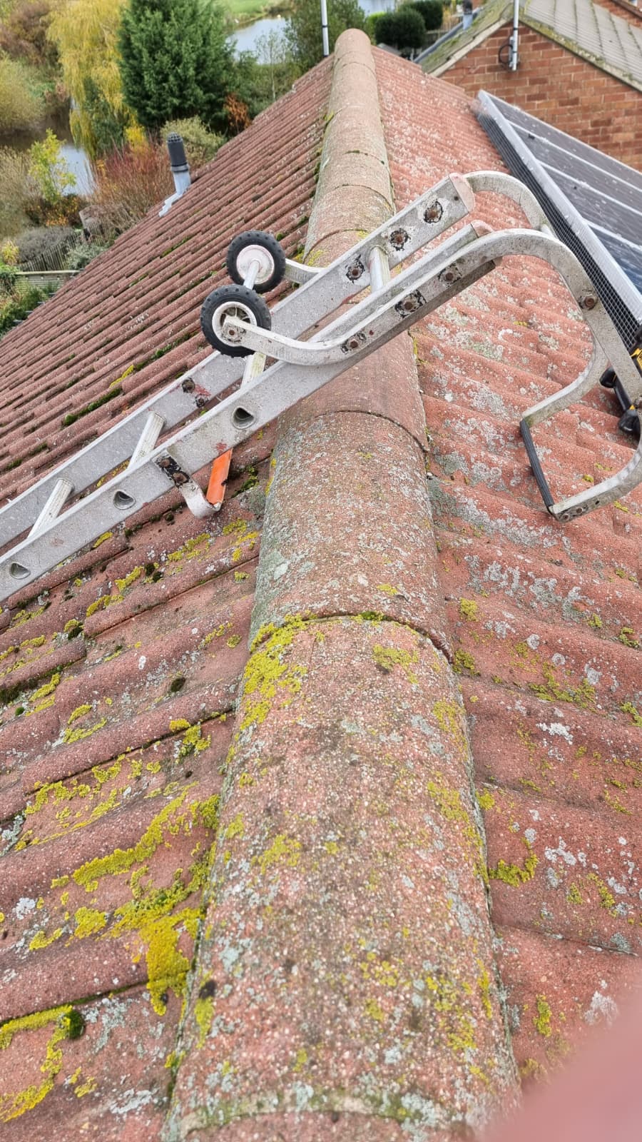 Roof ladder on mossy ridge tiles during inspection