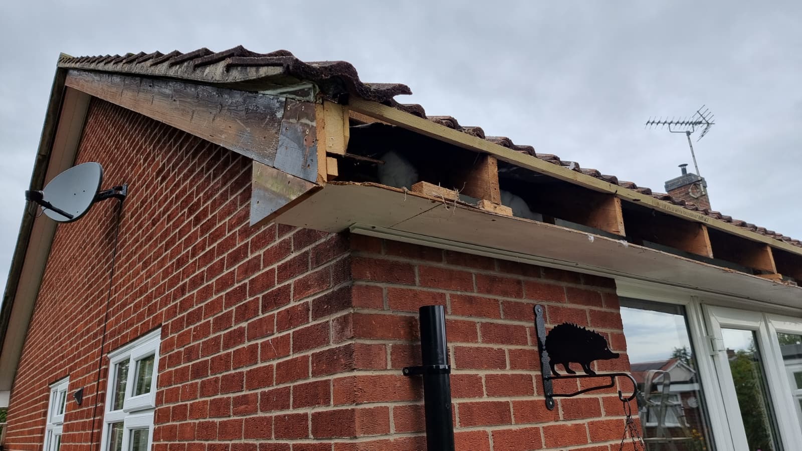 Close-up of new fascia board and gutter downpipe