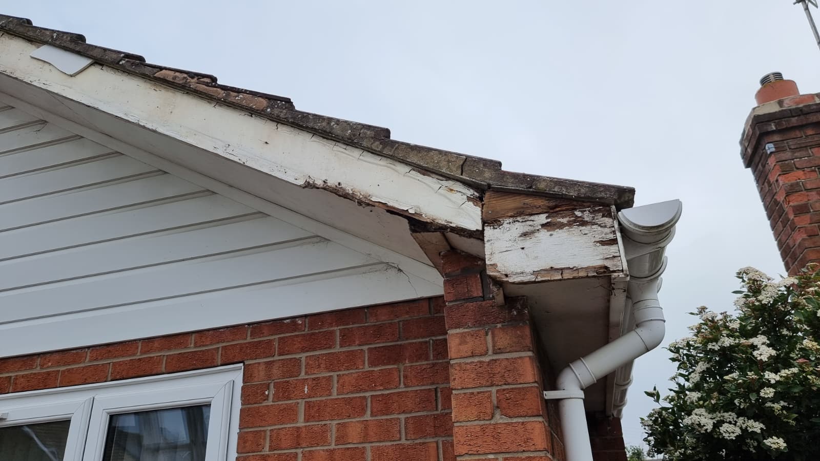 Rotted fascia boards before replacement on bungalow corner