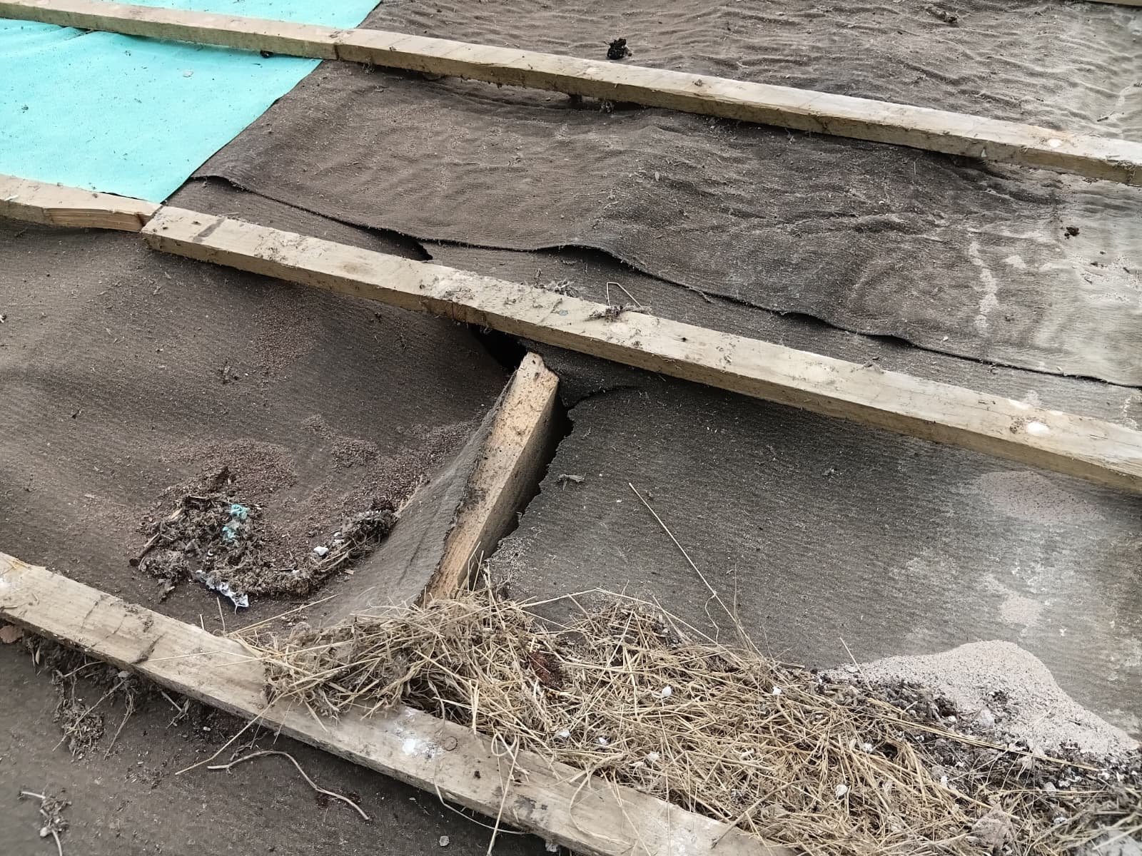 New battens and Roofshield membrane alongside old worn roof tiles